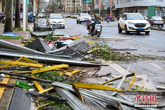 台风过境后的徐闻县：街头树木倒伏，灾后景象曝光