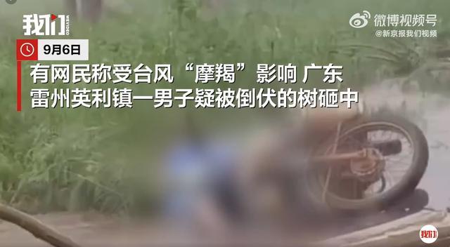 广东一男子疑被倒伏树砸中身亡