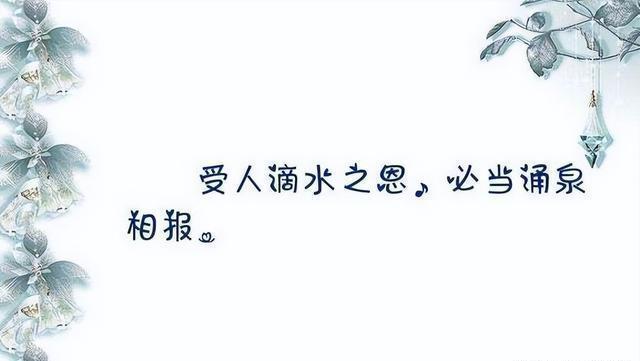 男子被撞20元私了交警坚持找寻救一命 滴水之恩，涌泉相报