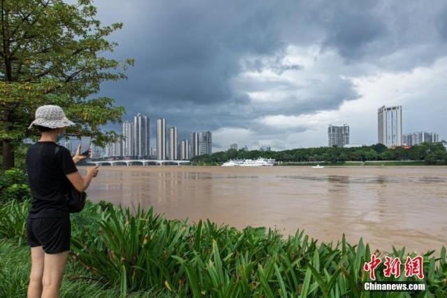 南宁一广场几乎被淹 市民照常晨练 洪水围城下的淡定日常