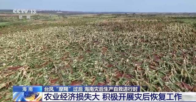 航拍台风“摩羯”过后海口变化 全力重建 复工复产提速