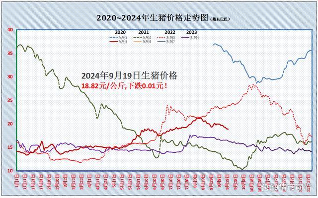 一夜“突变” 猪价上涨“卷土重来”？供需博弈下的市场变局