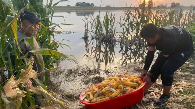 沱河河南永城段仍超汛限水位 台风“贝碧嘉”所致