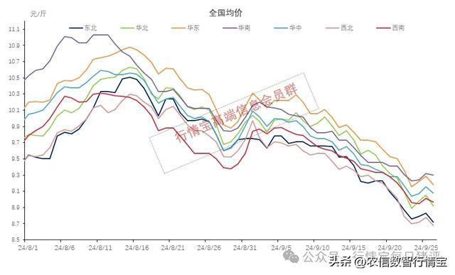 国庆在即 猪价却栽了跟头 23地猪价齐跌