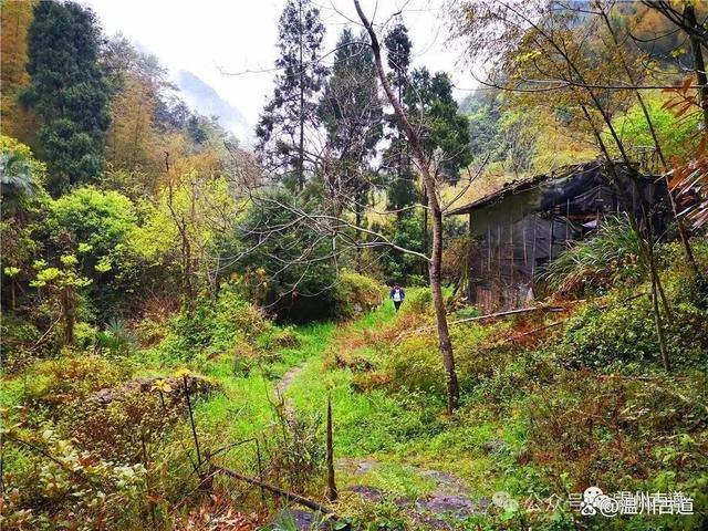 6条初秋值得一去的浙江古道 探秘陶姑洞，寻访云中古寺