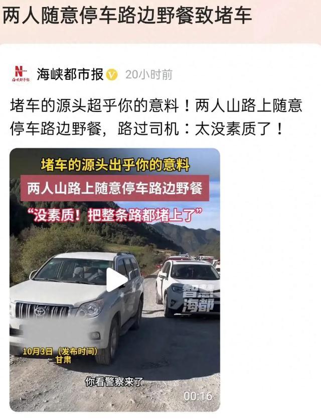 两人随意停车路边野餐 遭被堵司机怒批