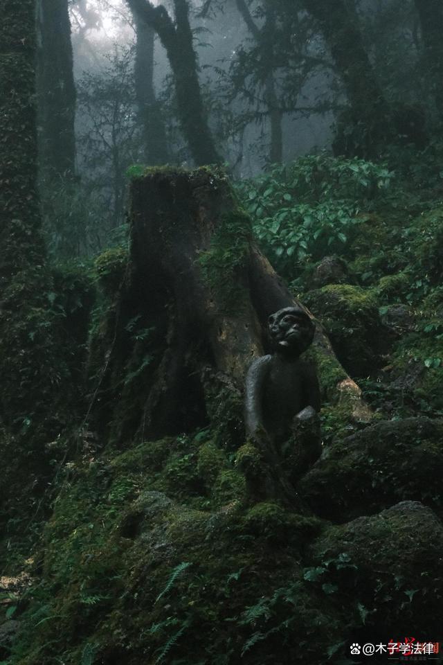 哀牢山景区发布安全警示