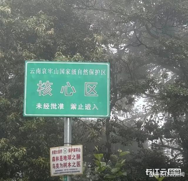 哀牢山是“禁区”吗？景区：已开发区域可放心游览，探秘云南虫谷之旅