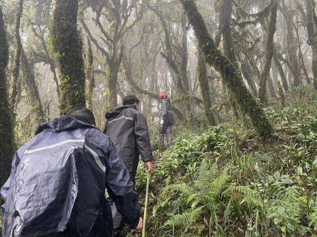 哀牢山爆火是打卡视频惹的祸吗 神秘颜料师探险引热潮