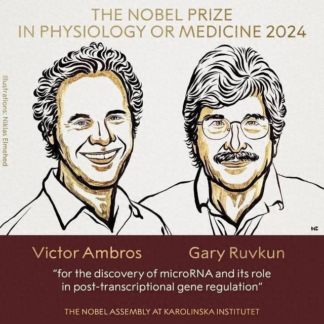 ✅体育直播🏆世界杯直播🏀NBA直播⚽2024年诺贝尔化学奖公布 科学界新星闪耀登场