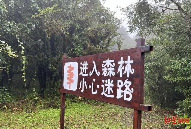 哀牢山向导现场澄清瘴气传言 迷路失温系主要风险，合理探险需重视