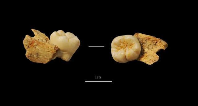 河南发现距今5000年大墓 出土350余件遗物揭示古国文明