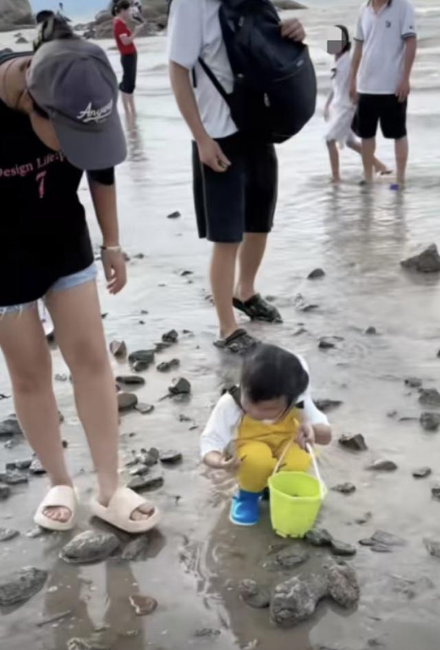 爸爸回应海滩撒花蛤让女儿捡