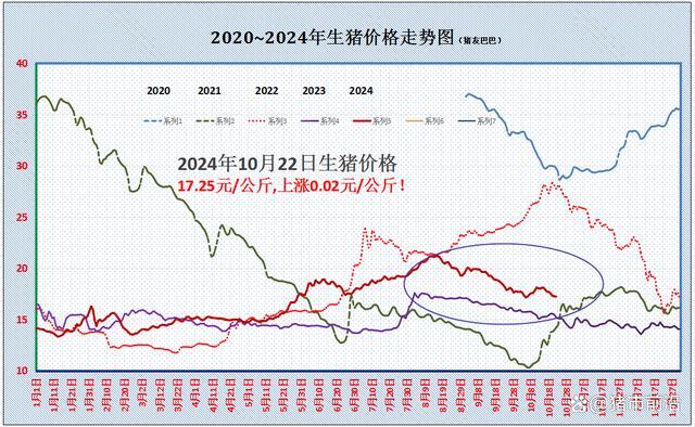 一夜“反转”！猪价下跌“踩刹车”