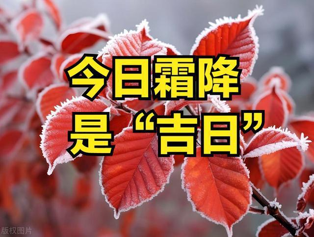 今日霜降 别忘了“3个习俗，3个注意”