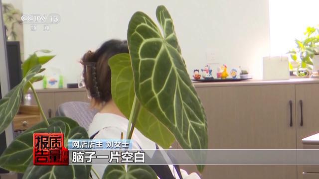 央视曝光:网店2小时被水军坑走11万 网络水军恶意下单骗局