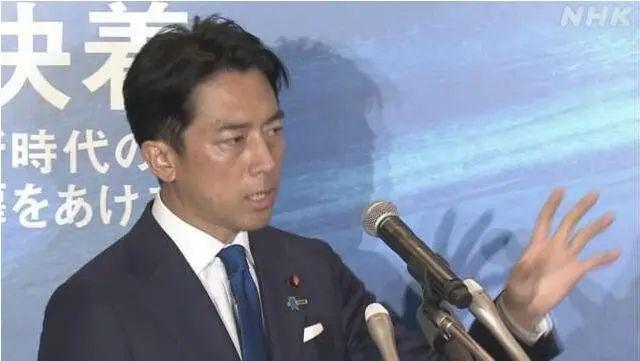 日本自民党选举对策委员长辞职 承担败选责任