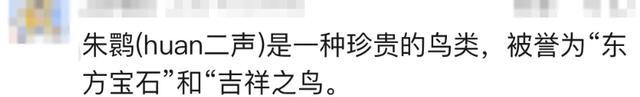 日本将把16只朱鹮归还中国 时隔8年再续友好篇章