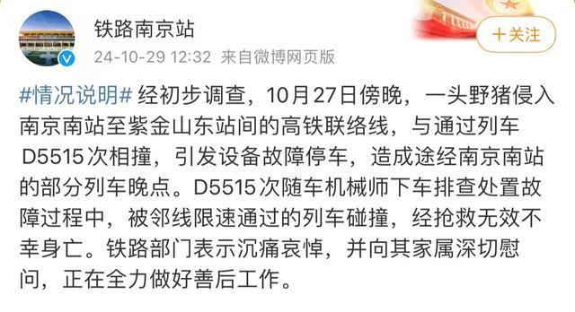 野猪致害已达26个省份 多地探索猎捕调控策略