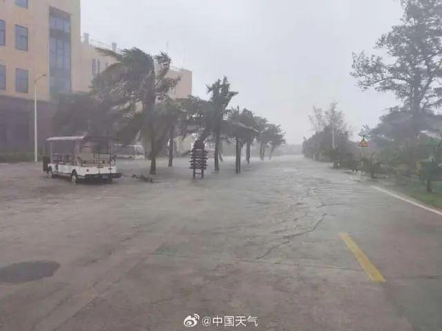 大暴雨 台风 大雾！三预警齐发 多地受影响需谨慎出行