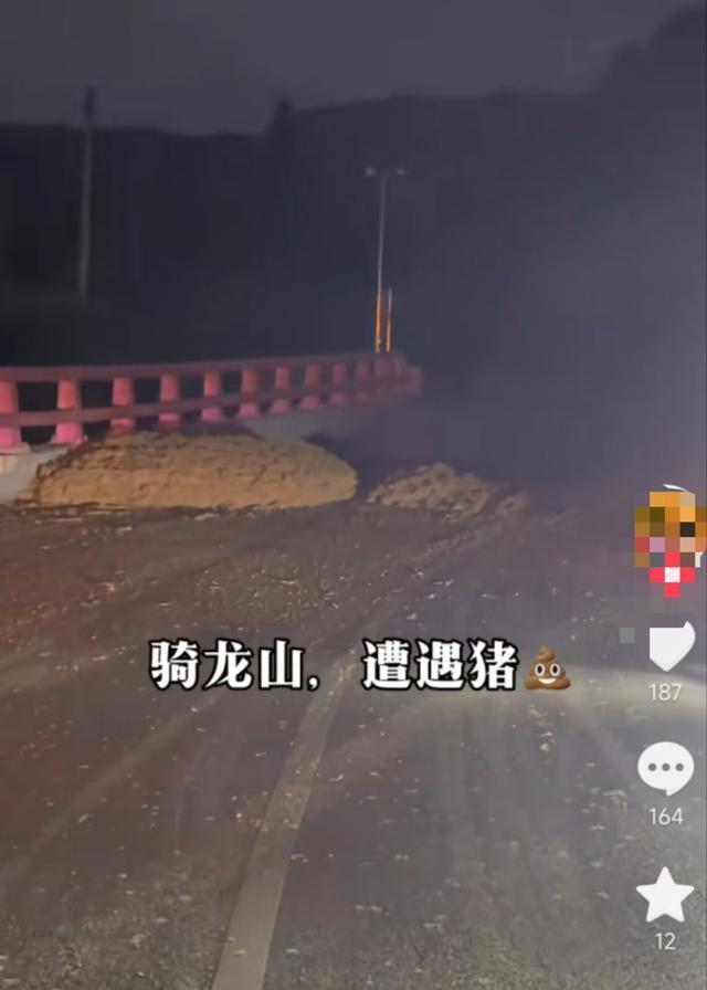 摩友在网红路段撞上粪堆