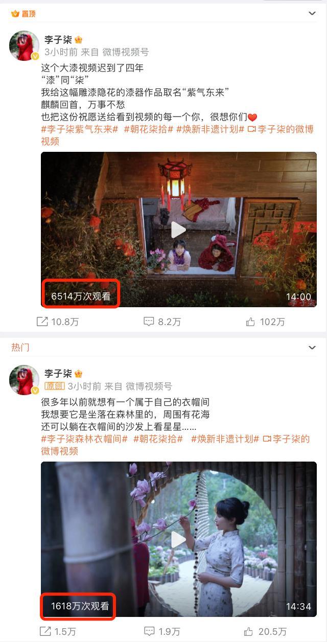 李子柒 白月光 归来依旧闪耀全网