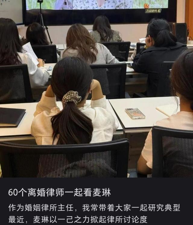 媒体：麦琳 被审判的主妇 全网热议的现象级话题