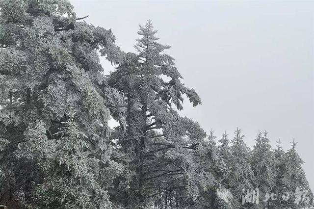 神农架下雪了