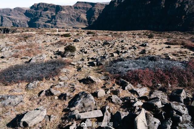 游客为赏日出在山顶纵火取暖 高山杜鹃受损引关注