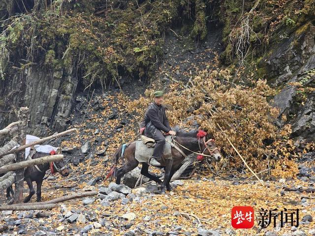 博主称遭甘孜马夫猥亵