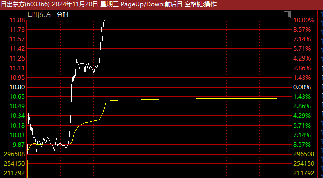 13天11板、12连板牛股，最新发声 风险提示公告发布