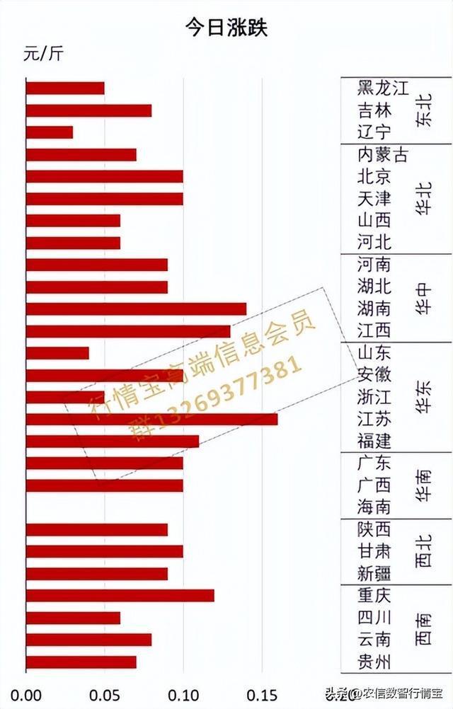 猪价一天涨2毛 火箭猪起飞！ 养殖端惜售挺价支撑