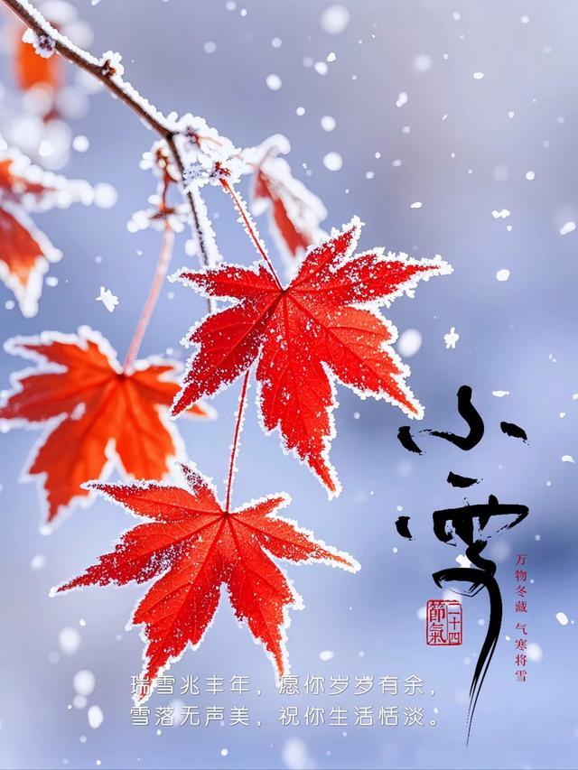 小雪朋友圈祝福文案 愿温暖与希望常伴