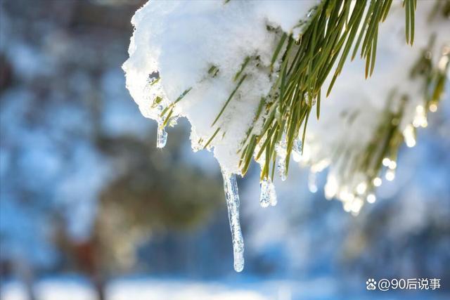 “白天小雪，冻死老牛；晚上小雪，单衣过冬”，今年小雪在几点？