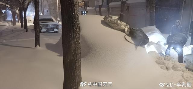 黑龙江鹤岗的雪好大啊 积雪深度创纪录