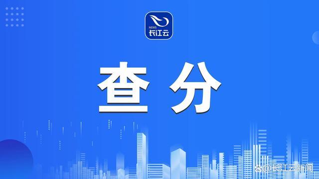 湖北公布成东说念主高考分数线