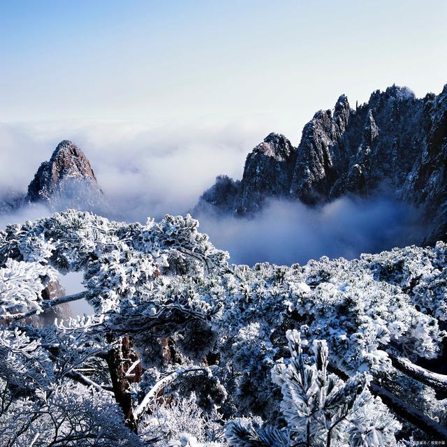 黄山出现震撼金色雪景 美得令人心醉神迷