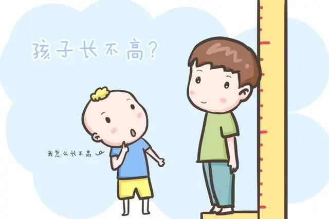 孩子身高也会进入冬眠期 冬季养脾助长秘籍