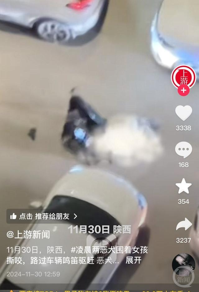 被大型犬撕咬的两人均无生命危险 环卫工英勇救人