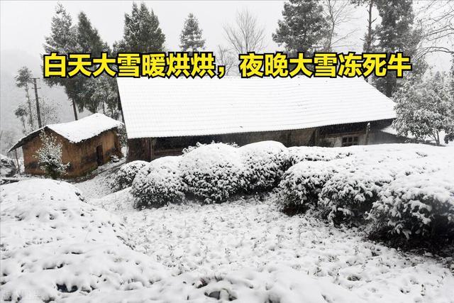 “白天大雪暖烘烘，夜晚大雪冻死牛”，有啥说法？