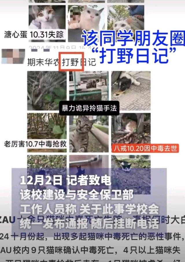 警方介入华中农大一学生被指虐猫 十余只流浪猫接连死亡