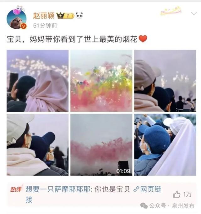 蔡国强烟花秀突发意外 无人机如雨点般坠落