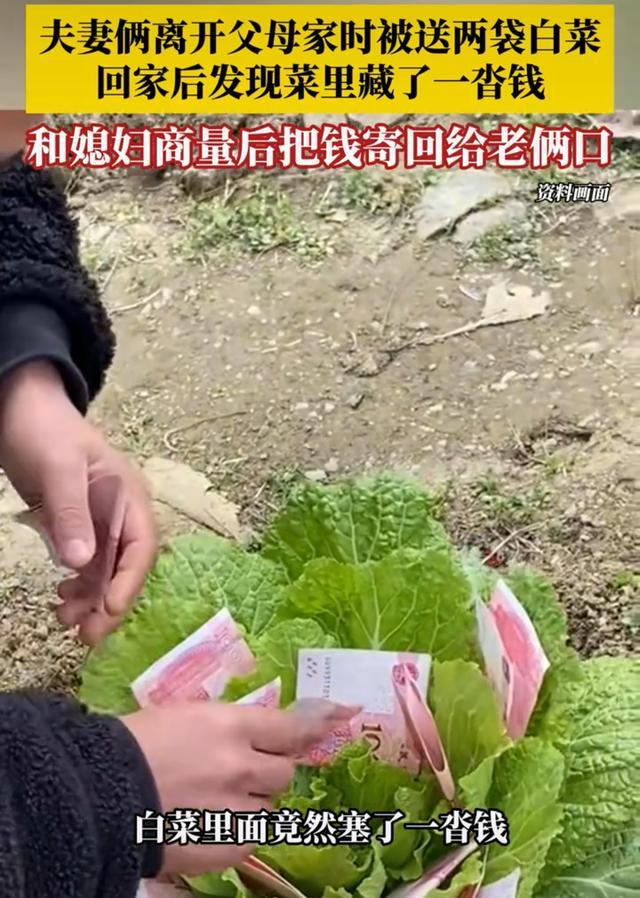 做生意欠债爸妈悄悄在白菜里塞钱