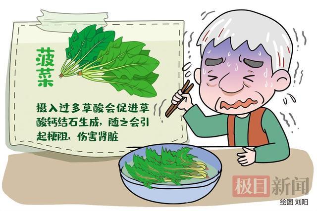 老人吃未焯水菠菜致肾衰竭 专家提醒