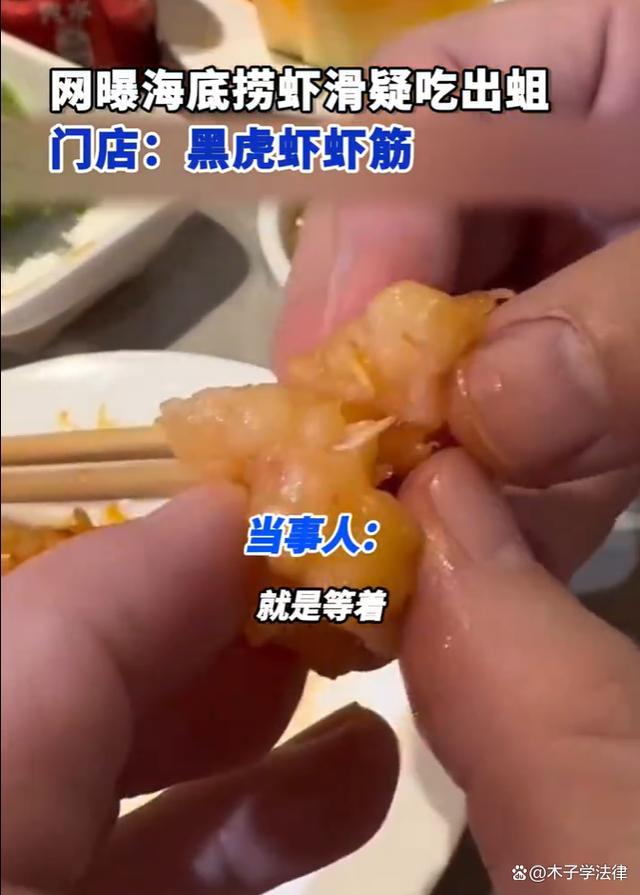 网曝海底捞虾滑吃出蛆