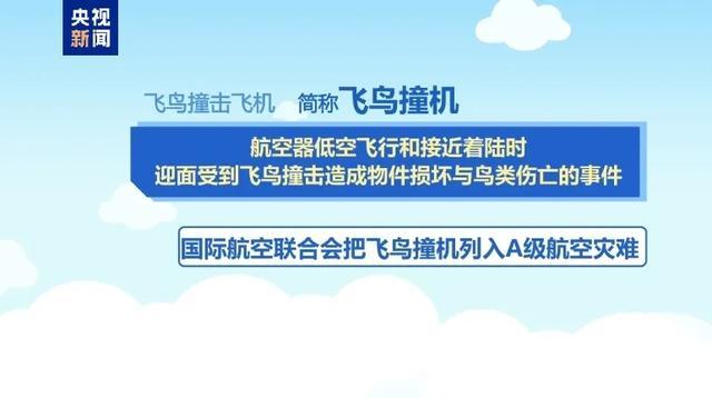 阿航客机失事已确认38人遇难 调查工作正在进行