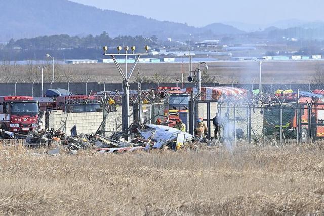 专家：韩国空难或因机组未放下起落架 鸟击引发操作失误