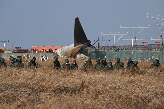 韩国空难调查有两个关键点 鸟撞与飞行员处置