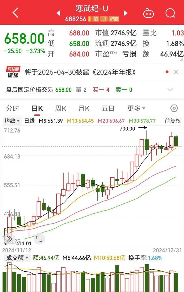 2024年最赚钱股票 寒武纪涨幅近4倍