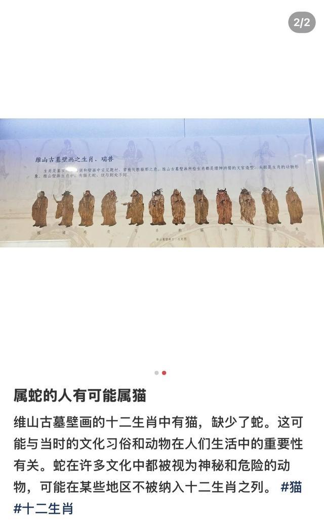 工作人员回应十二生肖图有猫无蛇 古代习俗差异引发热议